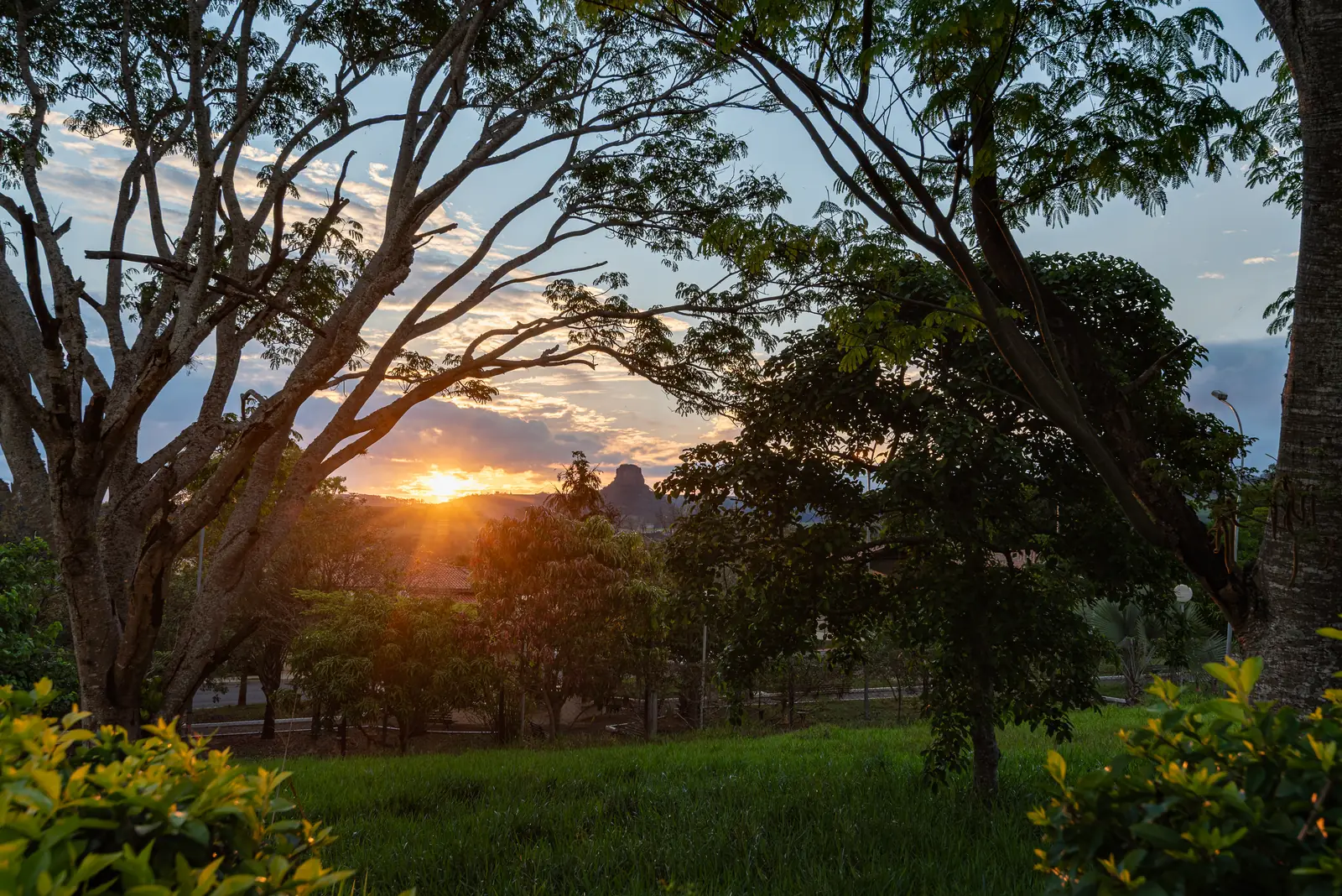 Pôr do sol entre as árvores do jardim do hotel