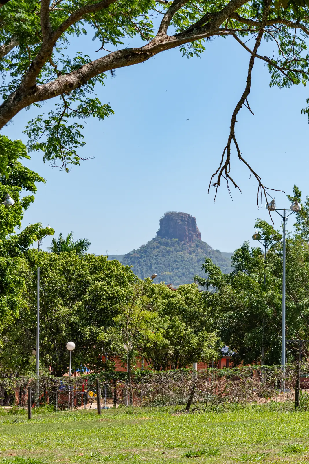Pedra do Cuscuzeiro emoldurada pelos galhos do jardim do hotel